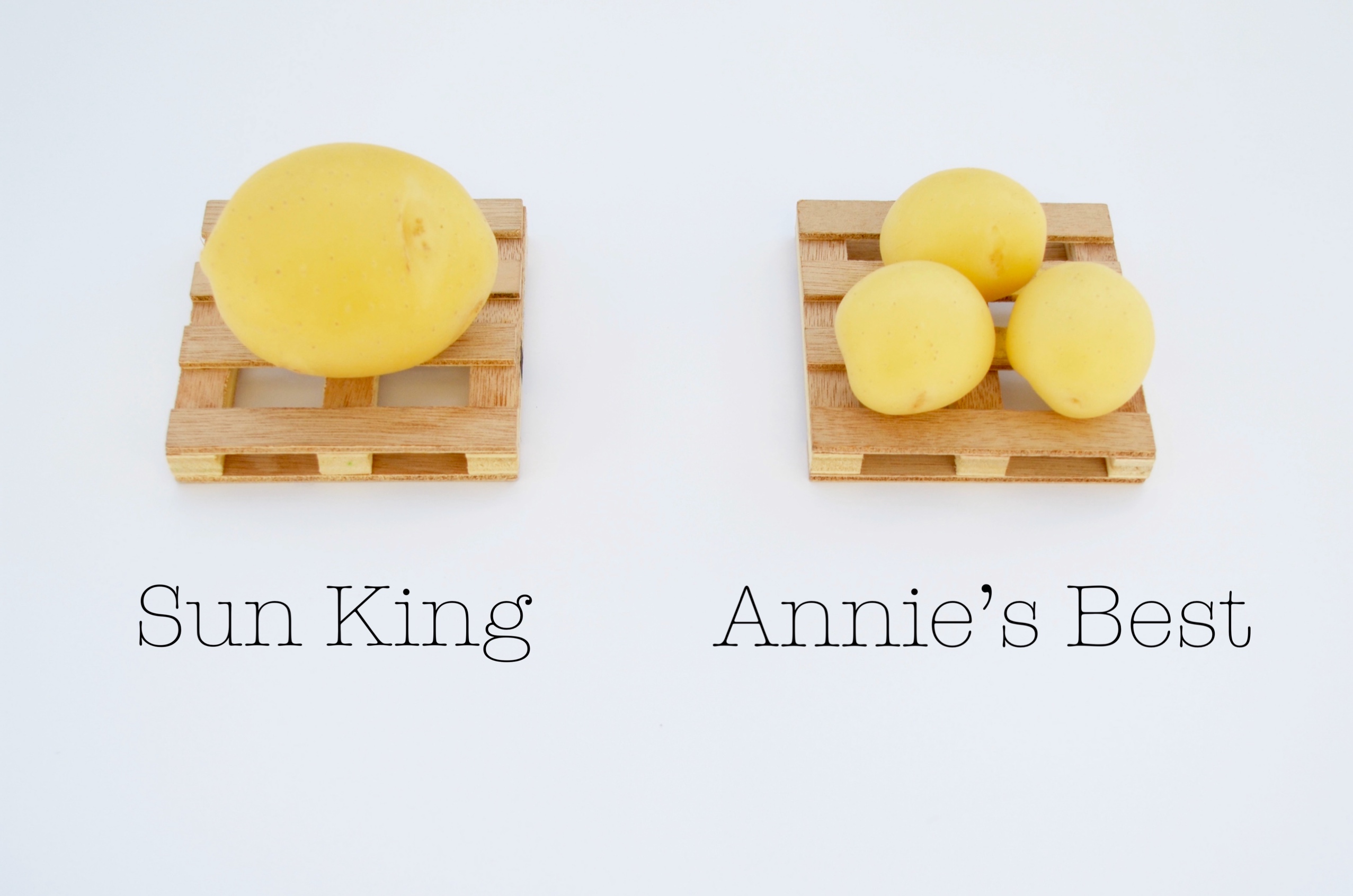 side by side comparison of sun king & annie's best potatoes